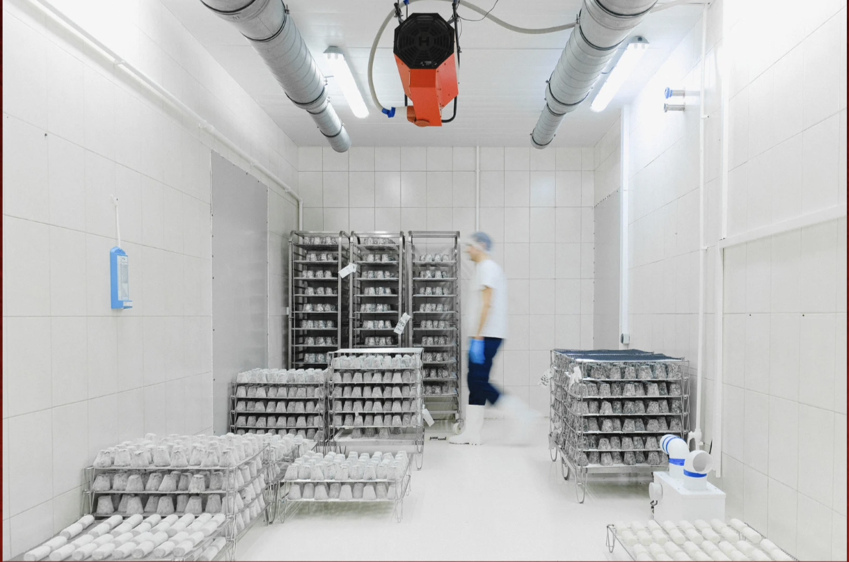 Cold Rooms & Chiller Environments